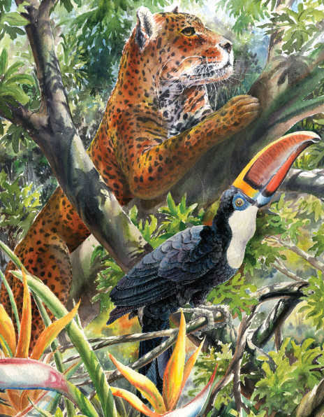 Comedor con cubiertos bien ubicados.