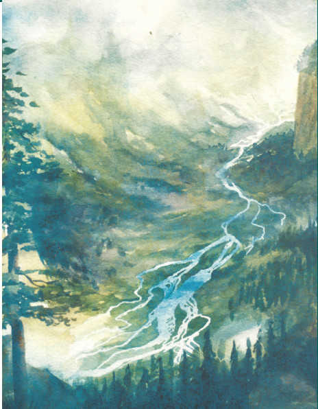 Jabones aromáticos para el baño.