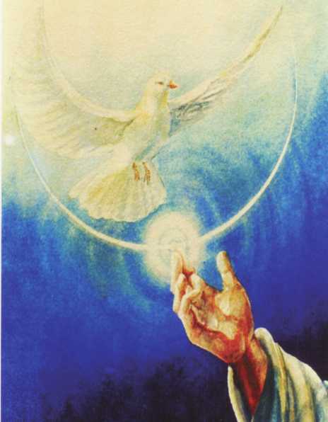 Bellas flores para adornar el comedor.